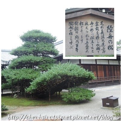 金閣寺04-陸舟的松.jpg
