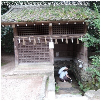 08-10609宇治上神社08.jpg