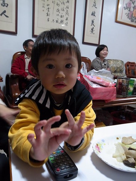 R1003355.JPG