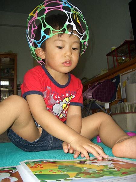CIMG0298.jpg