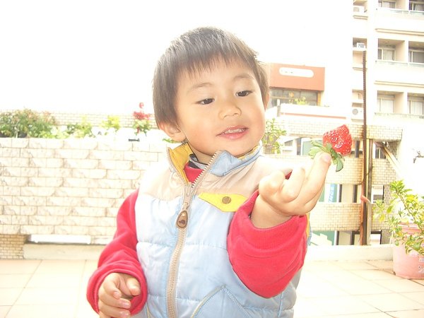 CIMG0009.JPG