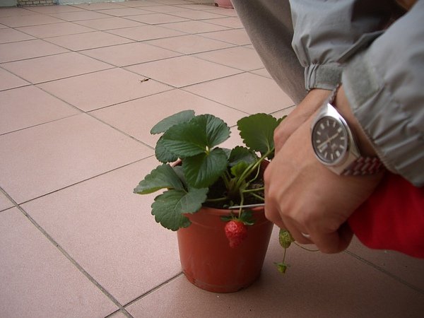 CIMG0005.JPG