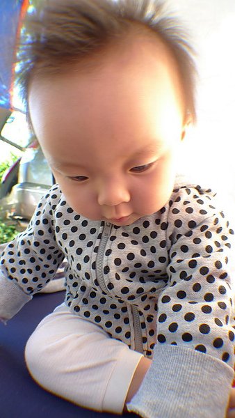 P1010170.jpg