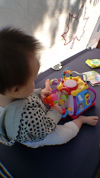 P1010160.jpg