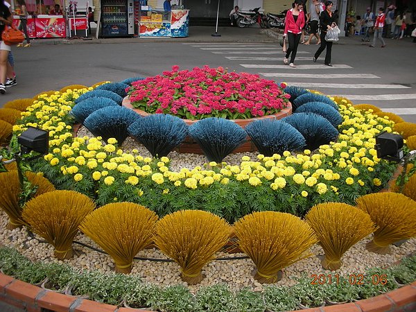DSCN0290.JPG