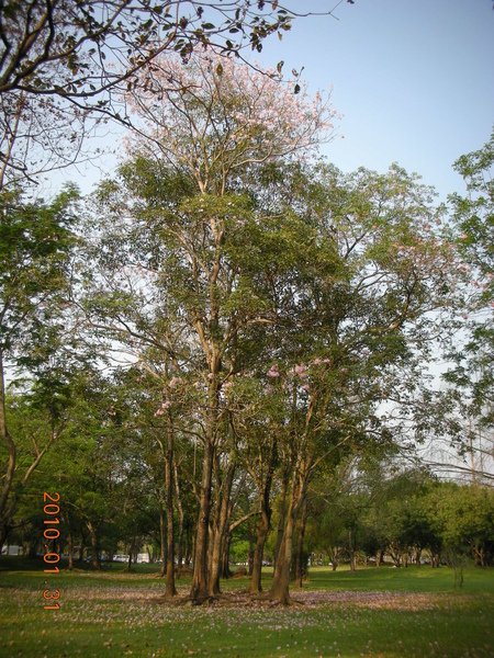 DSCN7701.JPG