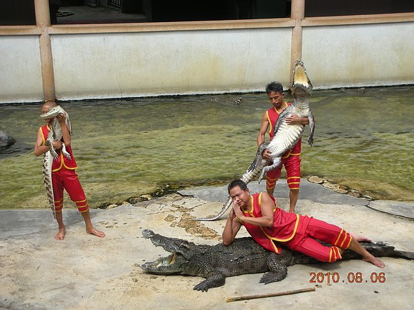 DSCN9278.JPG