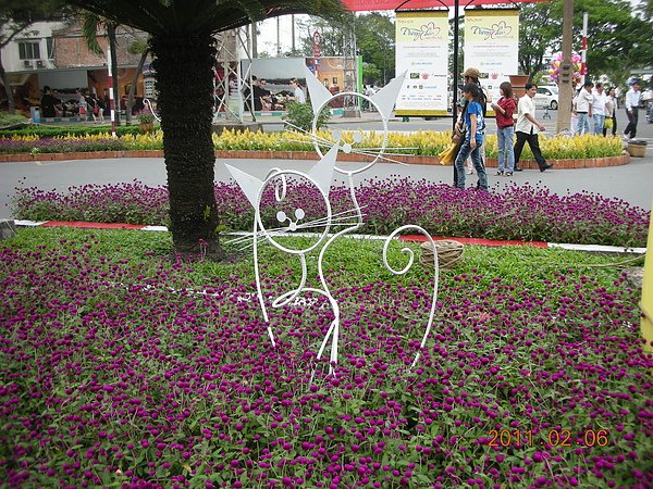 DSCN0313.JPG