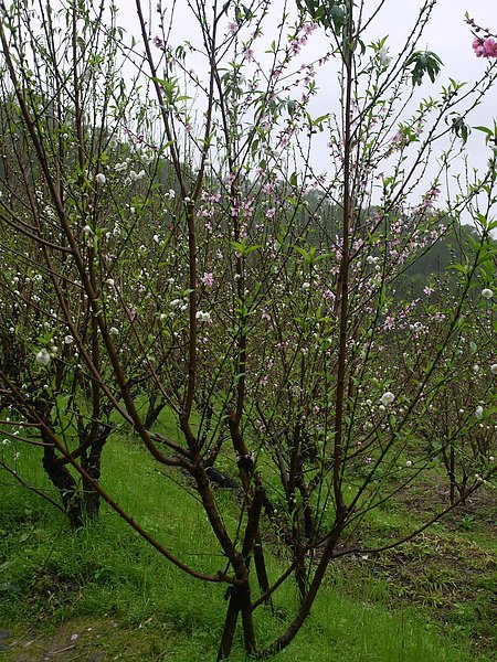 P1050392.JPG