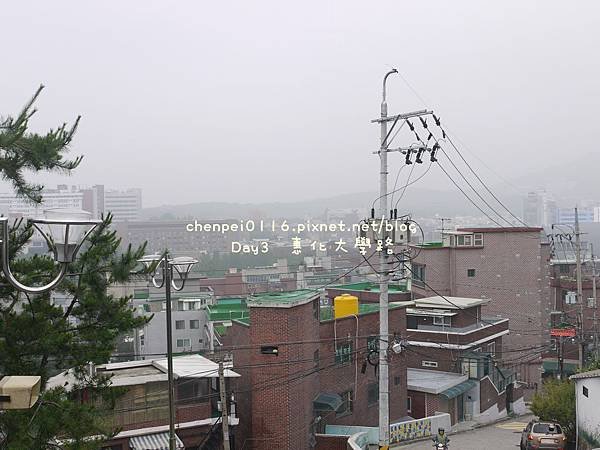 P1070661.JPG