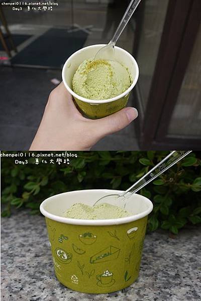 P1070675-vert.jpg