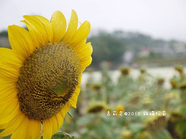P1140268