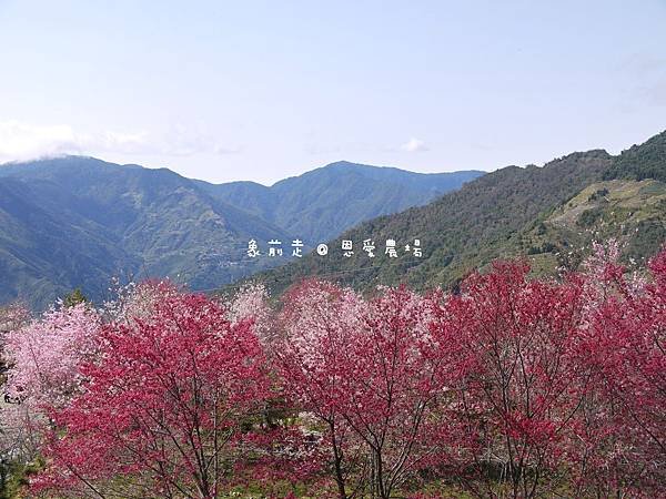 P1150703