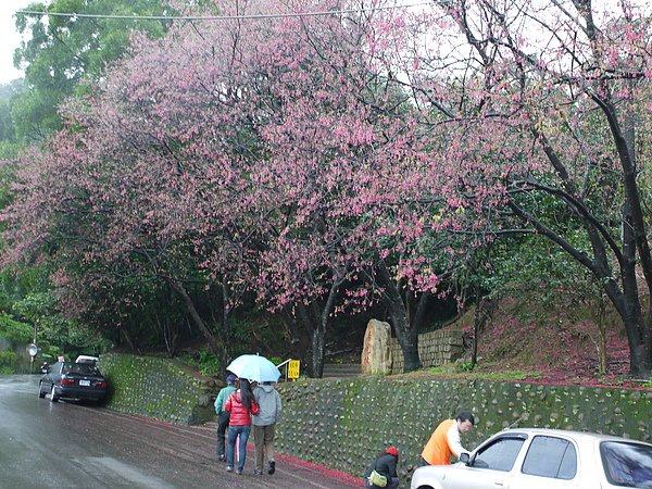 P1050408.JPG