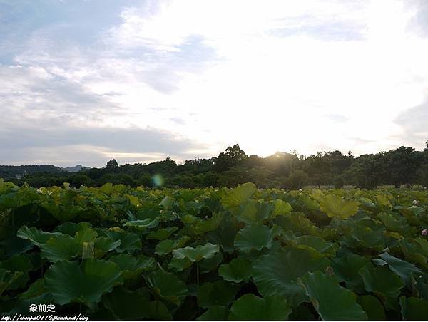 P1070326-vert.jpg