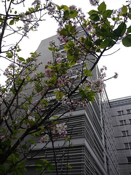 P1050793.JPG