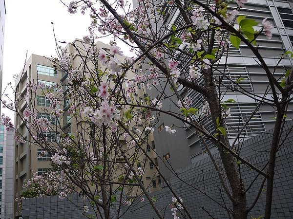 P1050790.JPG
