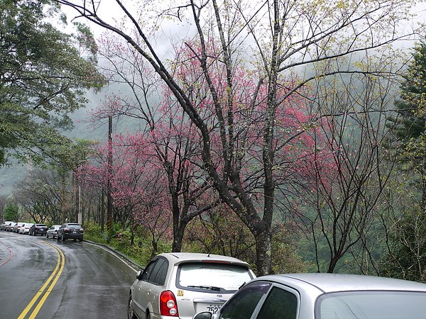 P1050478.JPG