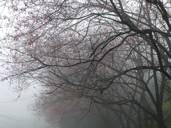 P1050359.JPG
