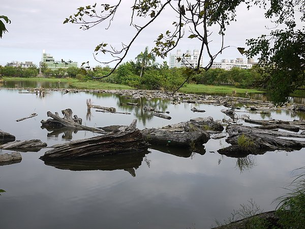 P1020737.JPG