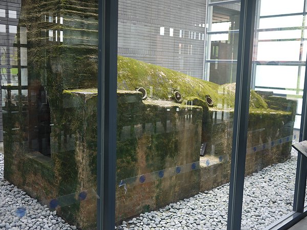 P1000848.JPG