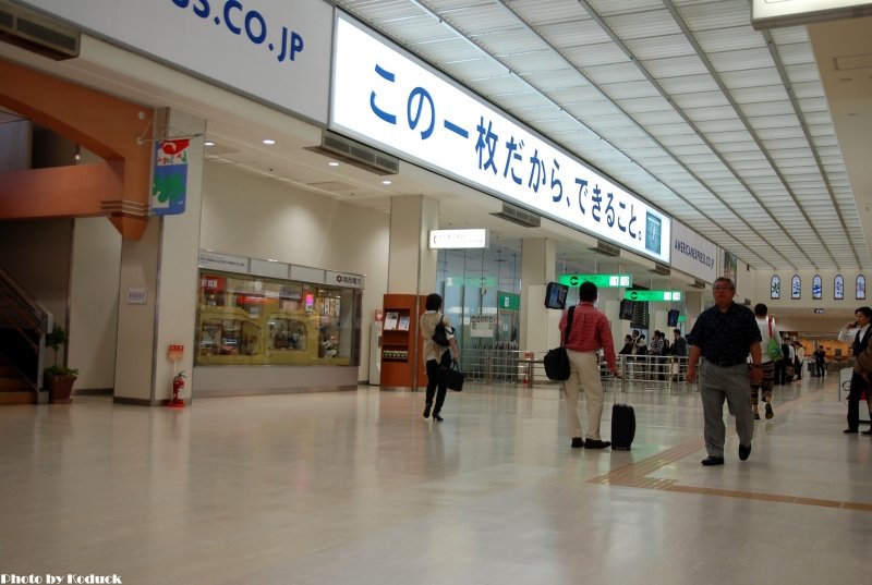 Itami Airport_31(2)_20110516.jpg