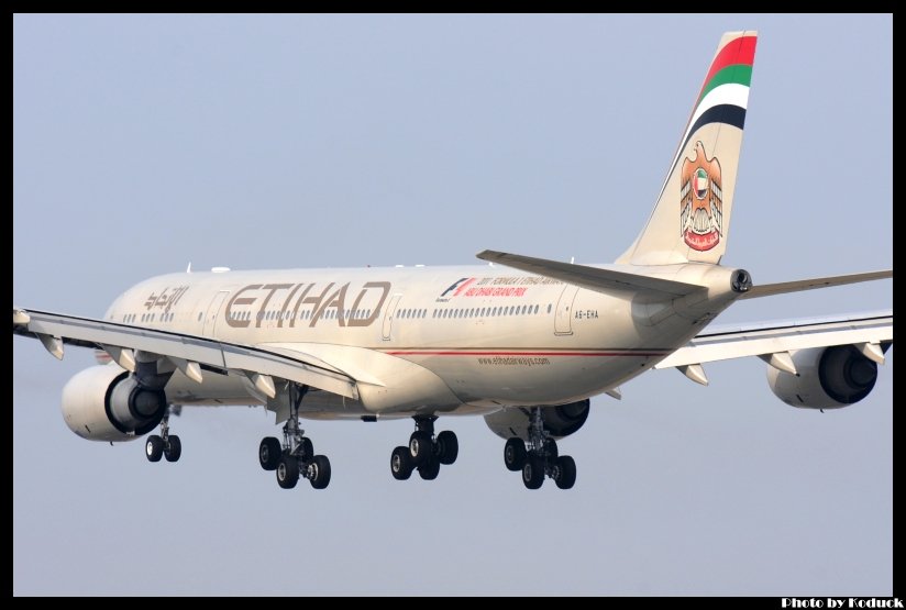 Etihad Airways A340-541(A6-EHA)@RJAA_3(2)_20111127.jpg