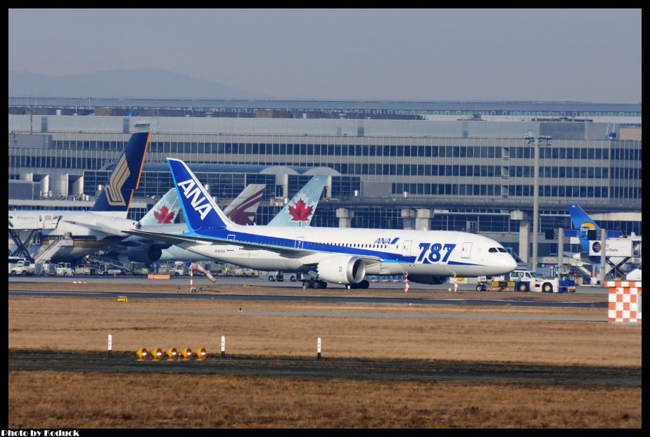 ANA B787-881(JA805A)@FRA_1(2)_20120221