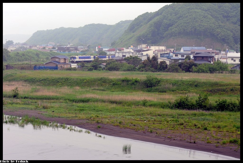 日高本線_5_20140618.jpg