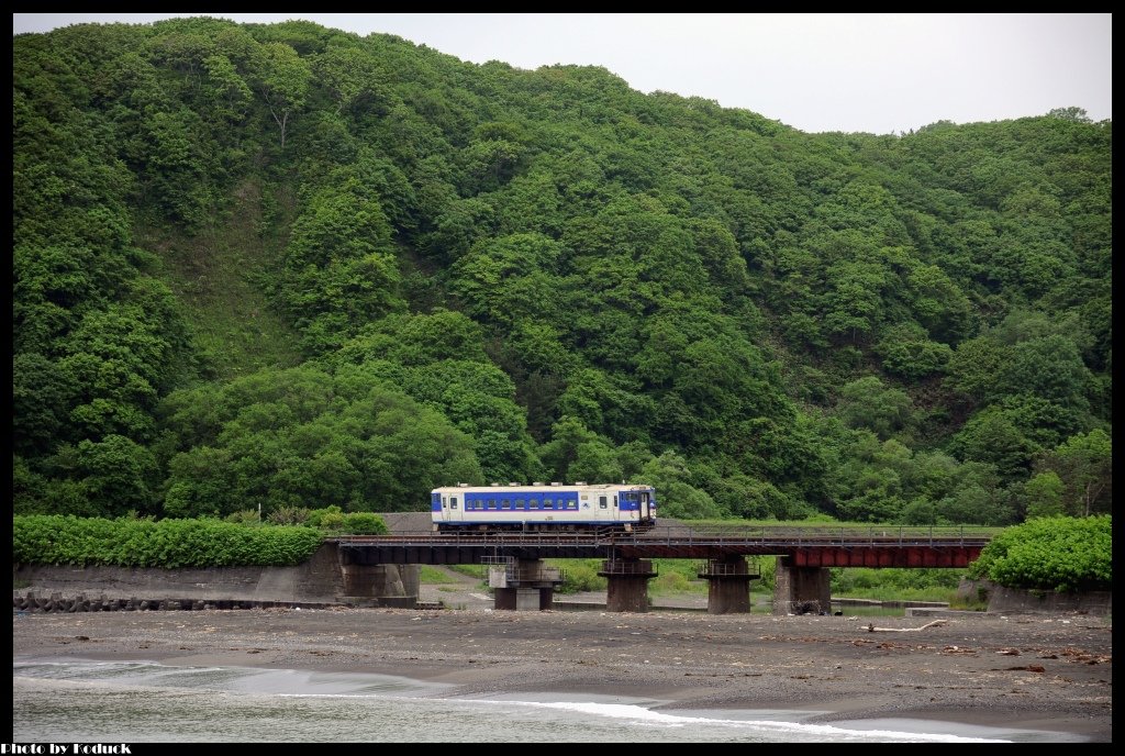 日高本線_17_20140618.jpg