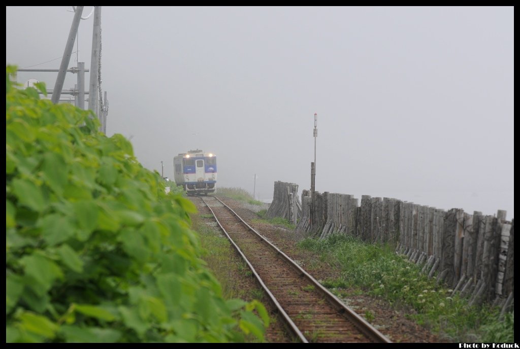 日高本線_36_20140618.jpg