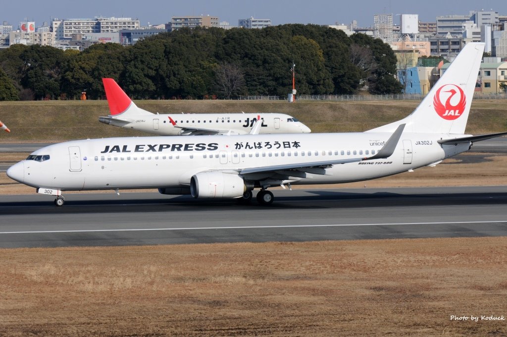 Itami Airport_63_20140111.jpg