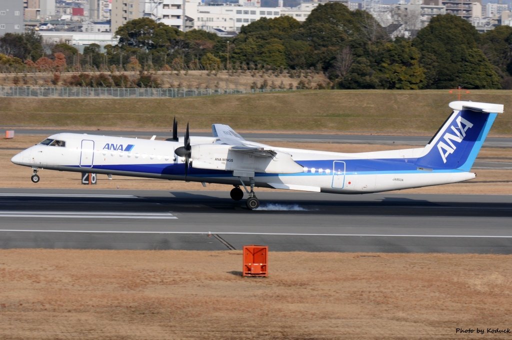 Itami Airport_68_20140111.jpg