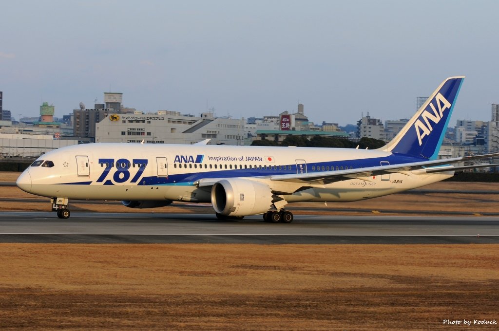 Itami Airport_80_20140111.jpg