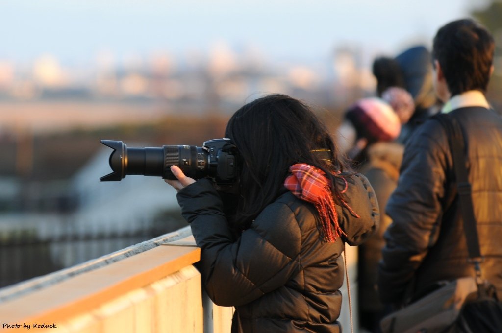 Itami Airport_84_20140111.jpg