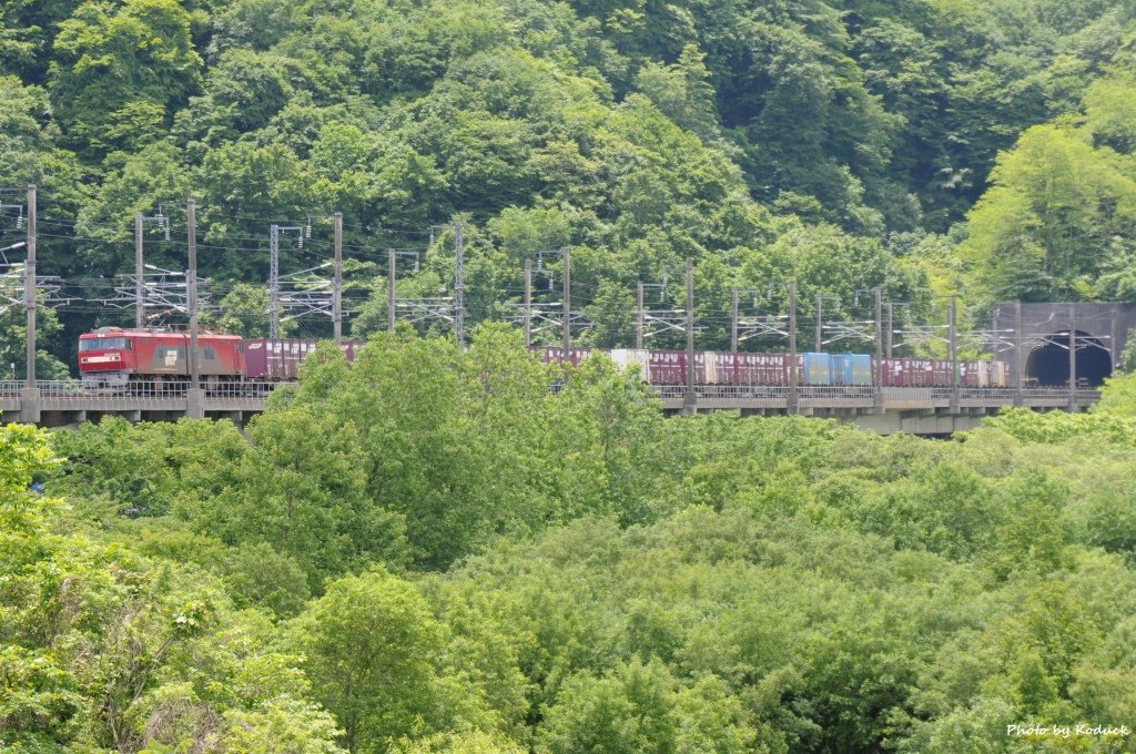 JR北海道津輕海峽線_42_20140620.jpg