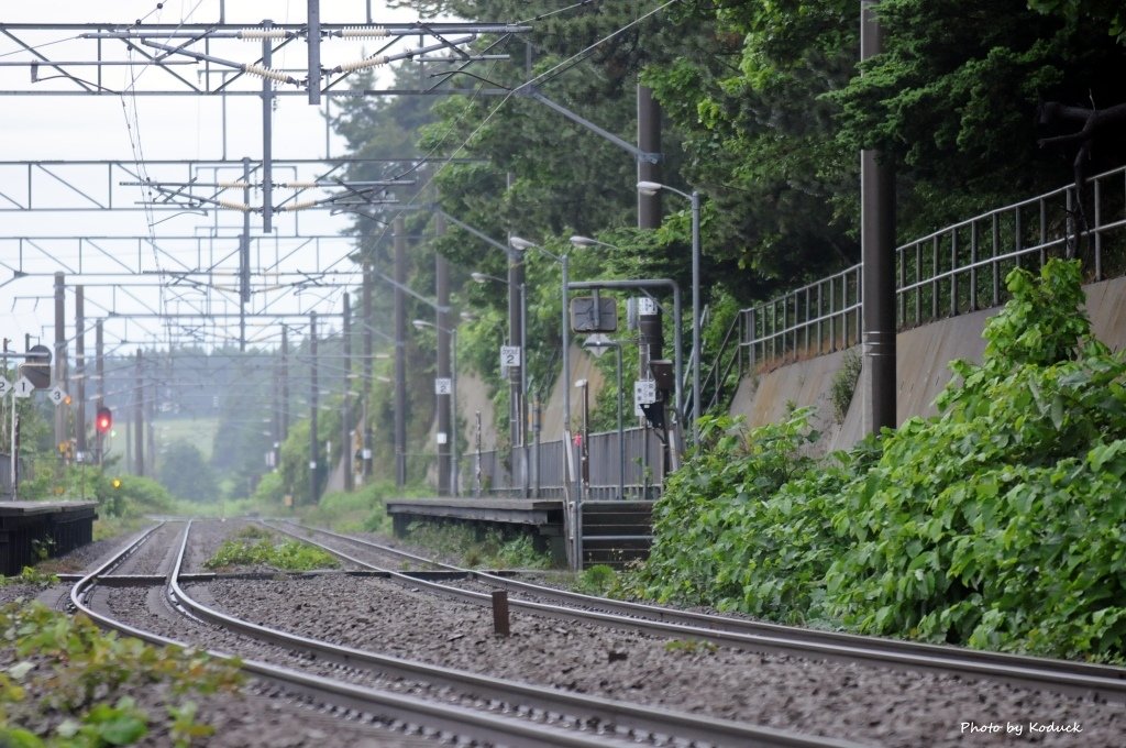 JR北海道津輕海峽線_1_20140620.jpg