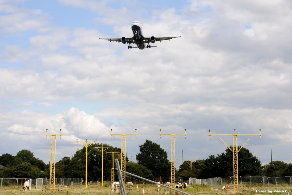 LHR_10_20140820.jpg