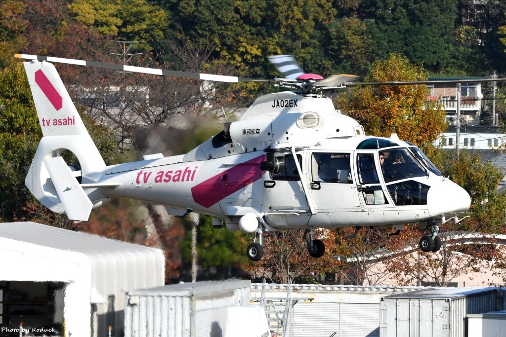 Eurocopter AS365N2 Dauphin 2(JA02EX)@RJTF_4_20161125.jpg