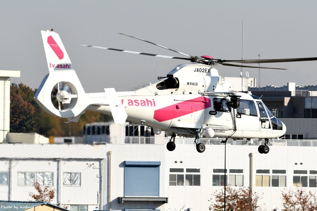 Eurocopter AS365N2 Dauphin 2(JA02EX)@RJTF_5_20161125.jpg