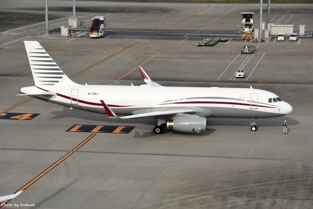 Qatar Amiri Flight A320-232(CJ)(WL)(A7-HSJ)@HND_1_20170308.jpg