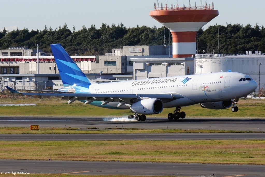 Garuda Indonesia A330-243(PK-GPI)@NRT_1_20121102.jpg