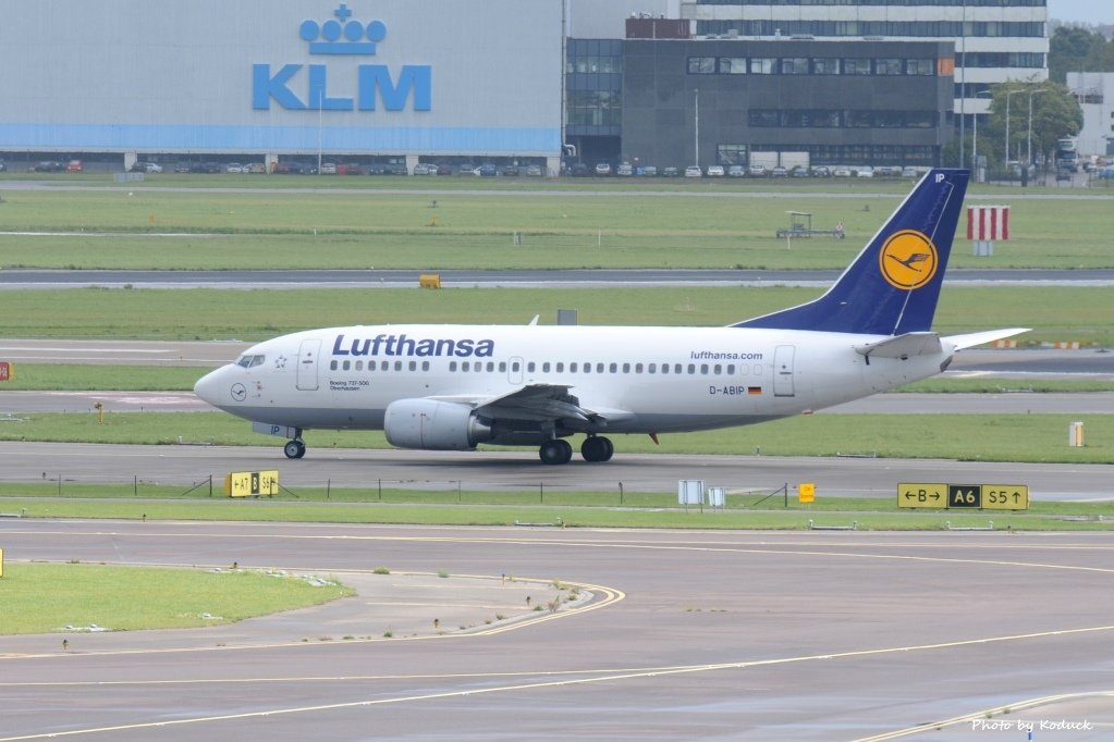 Lufthansa Boeing 737-530(D-ABIP)@AMS_1_20140818.jpg