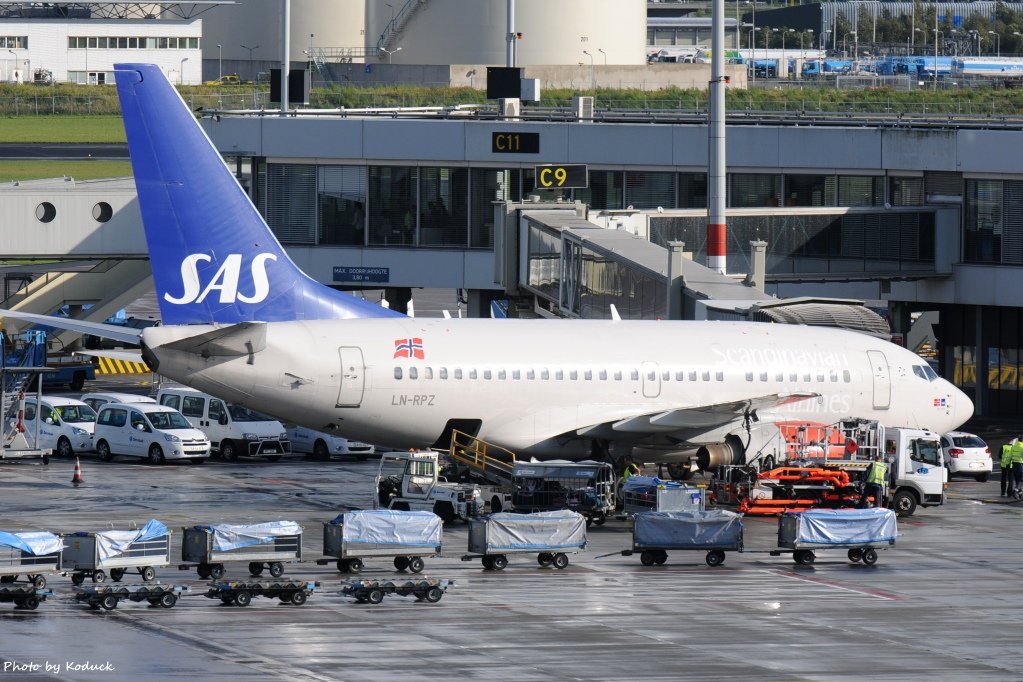 SAS Scandinavian Airlines B737-683(LN-RPZ)@AMS_1_20140819.jpg