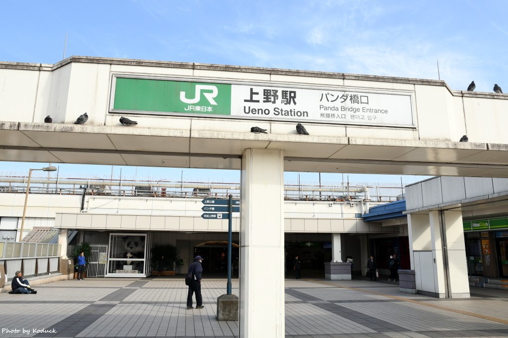 JR東日本東北本線上野站_1_20190130.JPG