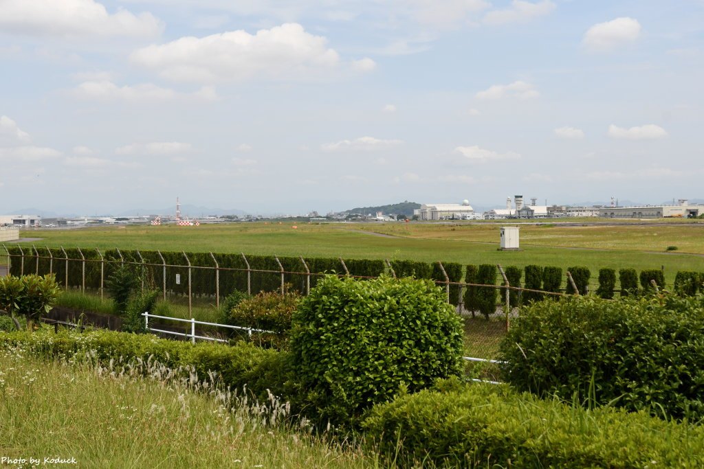 RJNA_9_20190604.JPG
