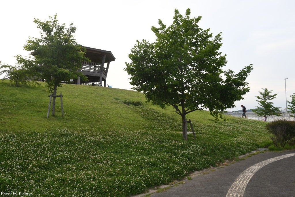 RJNA_16_20190604.JPG