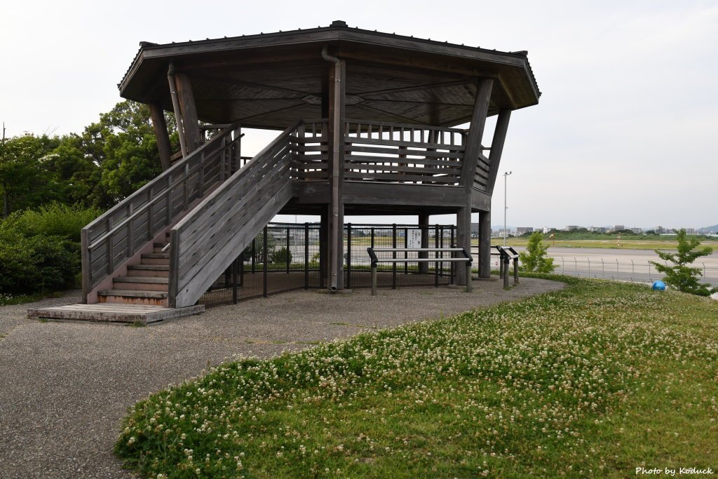 RJNA_15_20190604.JPG