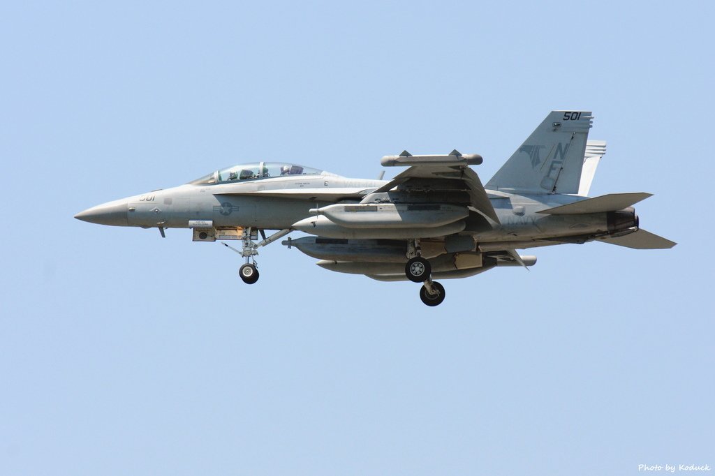 U.S. Navy VAQ-141 EA-18G Growler(501)@Atsugi_2(1)_20150514.JPG