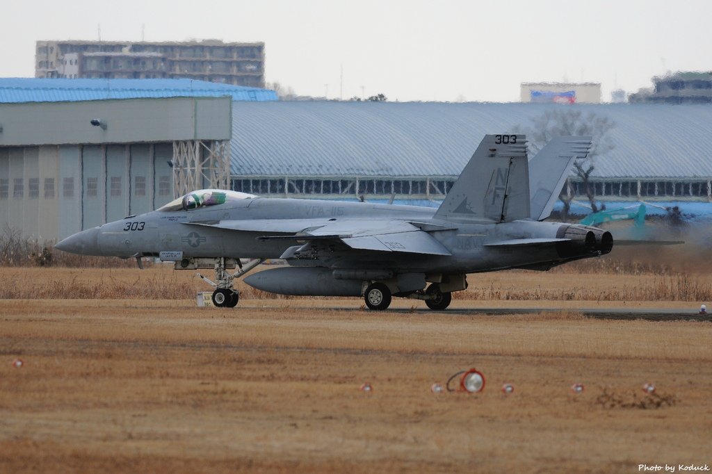 U.S. Navy VFA-115 FA-18E Super Hornet(303)@Atsugi_1(1)_20140113.JPG